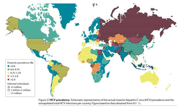 Distribuzione geografica Epatite C