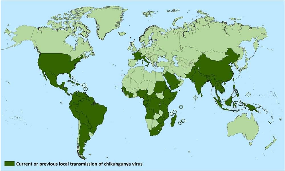 chikungunya