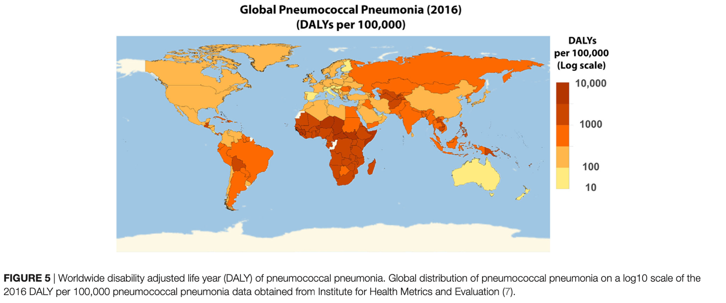 pneumococco