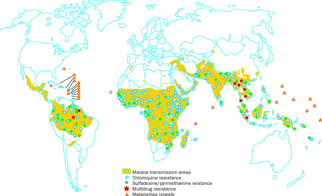 rischio malaria