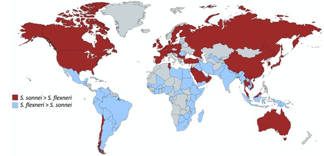 Shigella sonnei a paragone con la Shigella flexneri