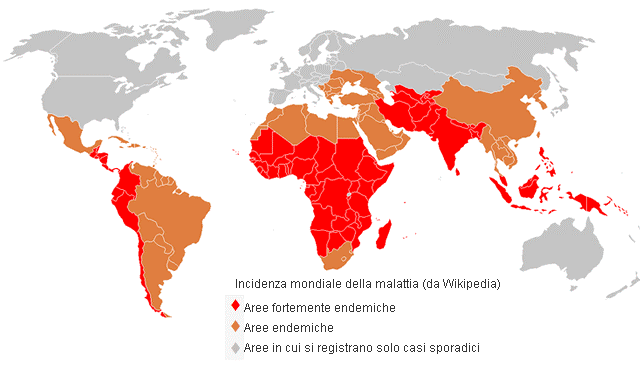 febbre tifoide nel mondo