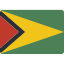 Bandiera Guyana