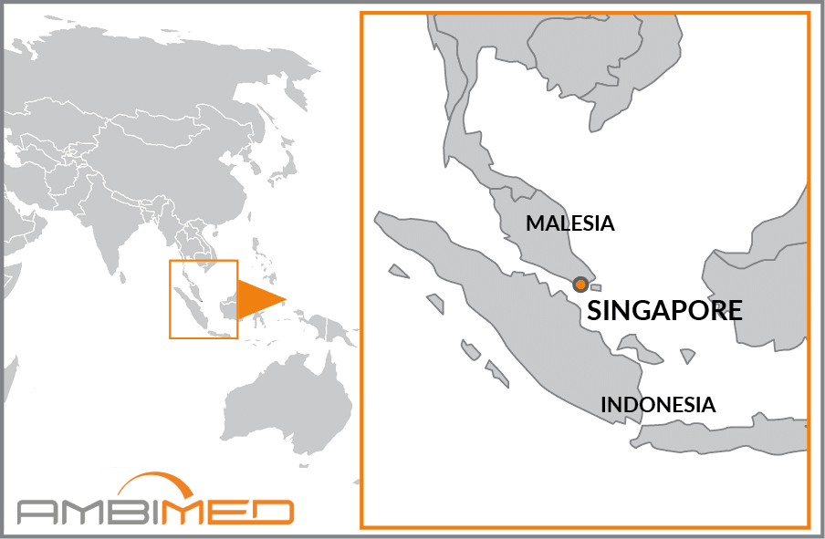 Cartina geografica della Singapore